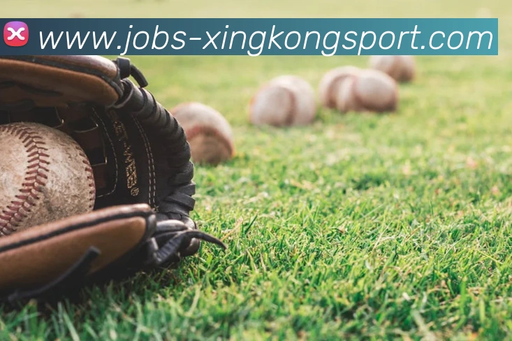 星空体育平台生态图